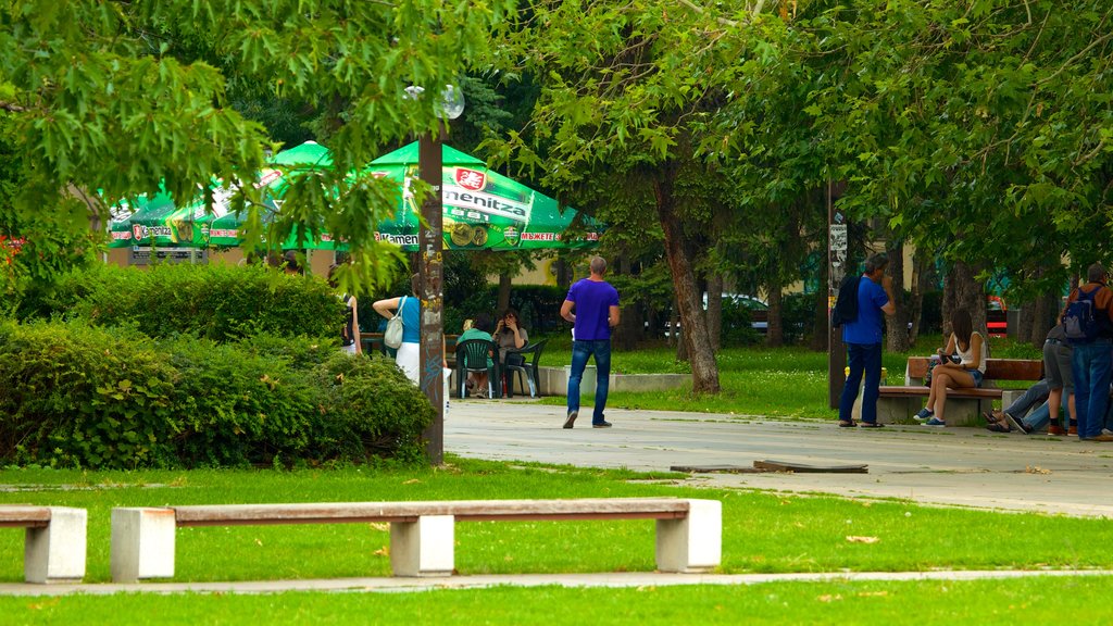 Palácio Nacional da Cultura caracterizando um parque