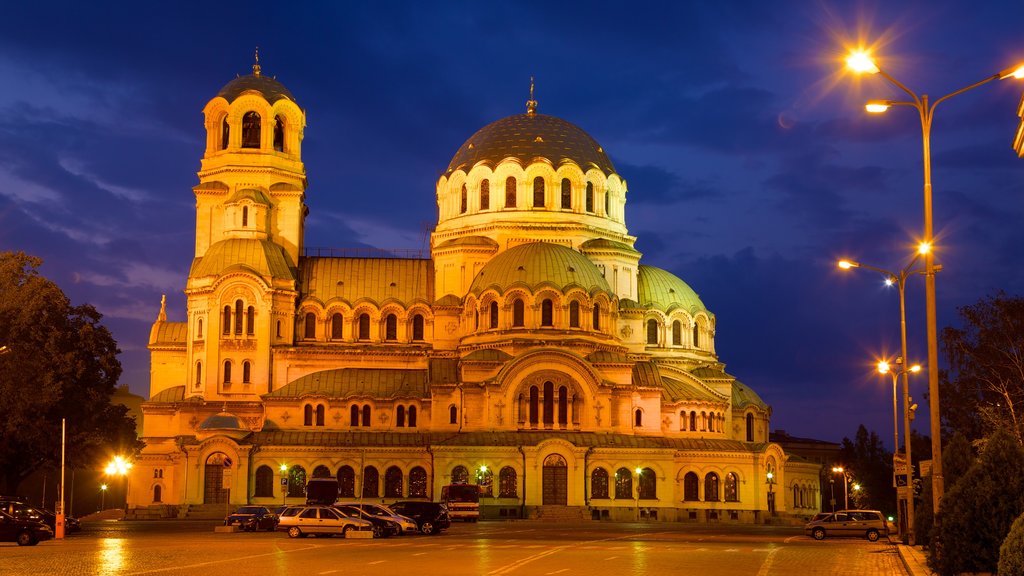 Alexander Nevski Cathedral showing a church or cathedral, heritage architecture and night scenes