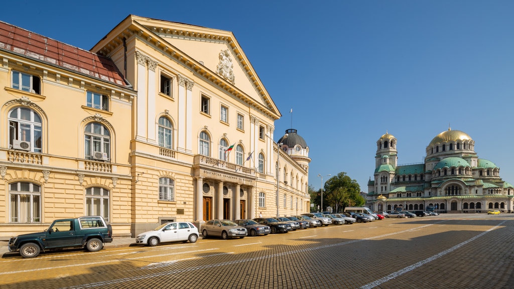 Catedral Alexander Nevski que incluye escenas urbanas