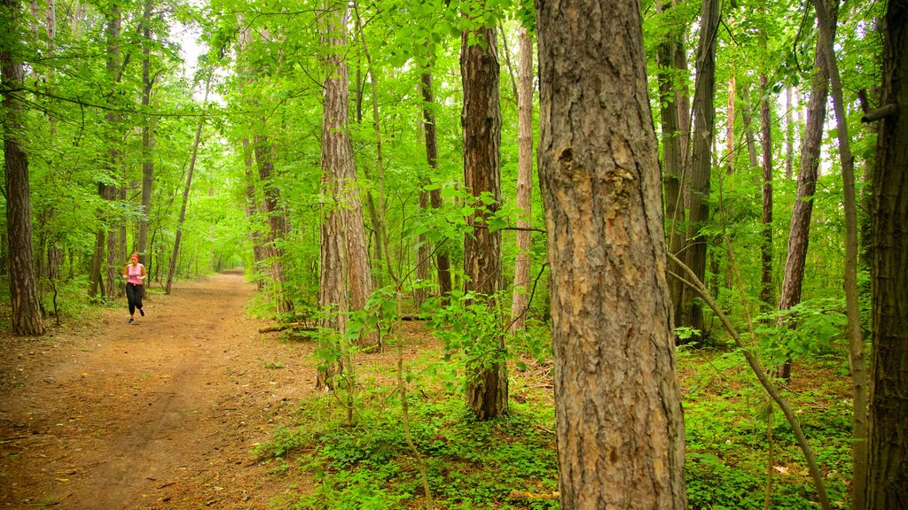 Borisova Gradina which includes hiking or walking and forests