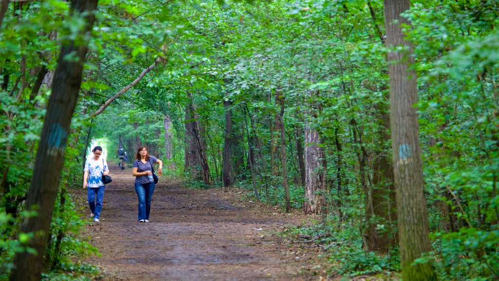 Borisova Gradina que incluye un jardín, escenas forestales y senderismo o caminata