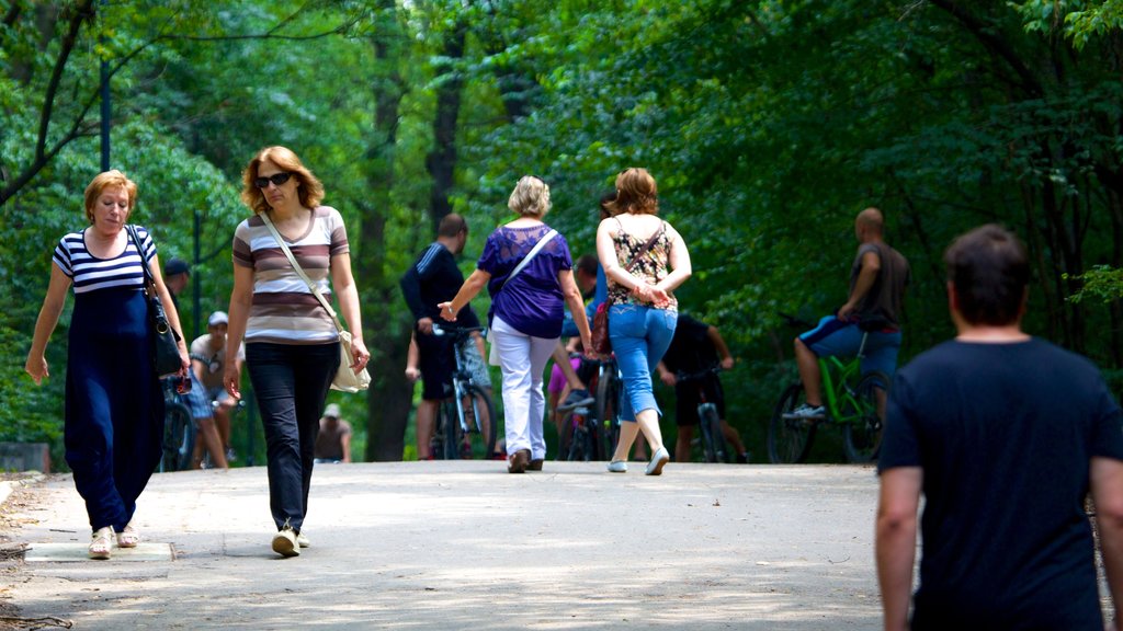 Borisova Gradina som viser vandring eller gåture, en park og skovområder