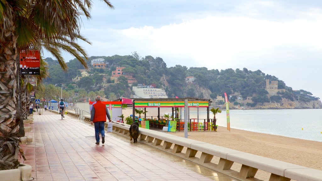 Playa de Lloret de Mar ofreciendo vistas generales de la costa y también un hombre