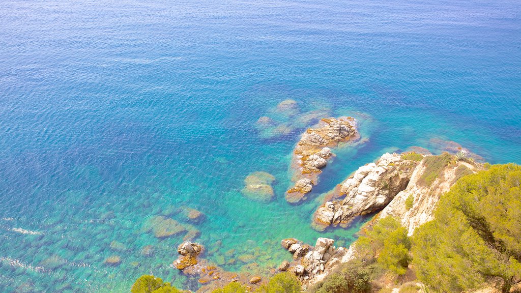 Sant Joan Castle featuring rocky coastline