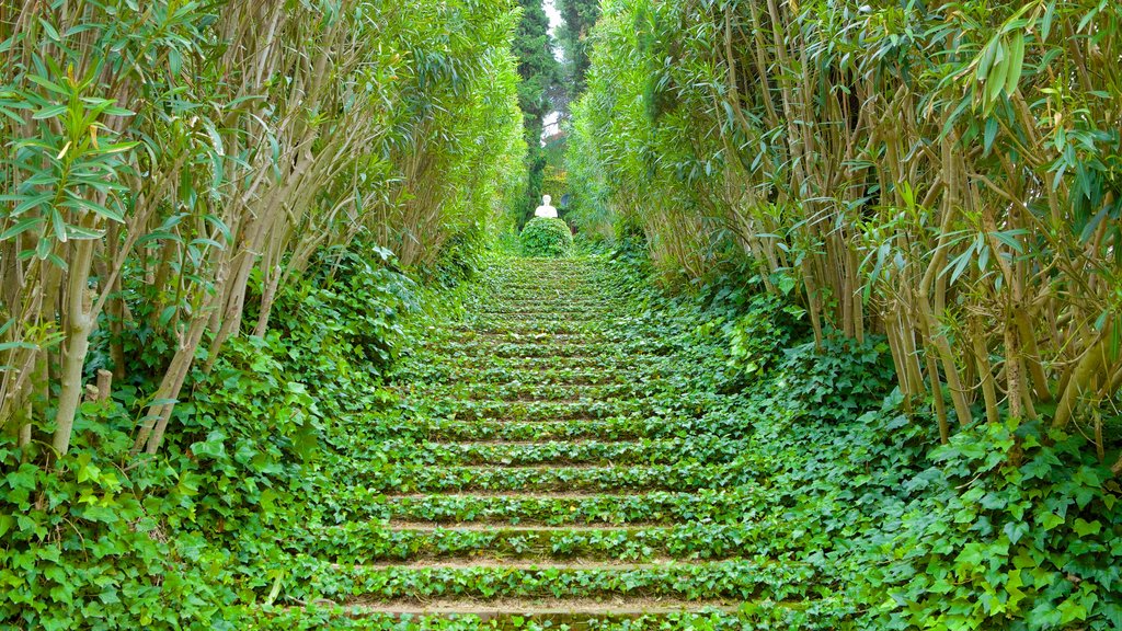 Santa Clotilde Gardens showing a garden