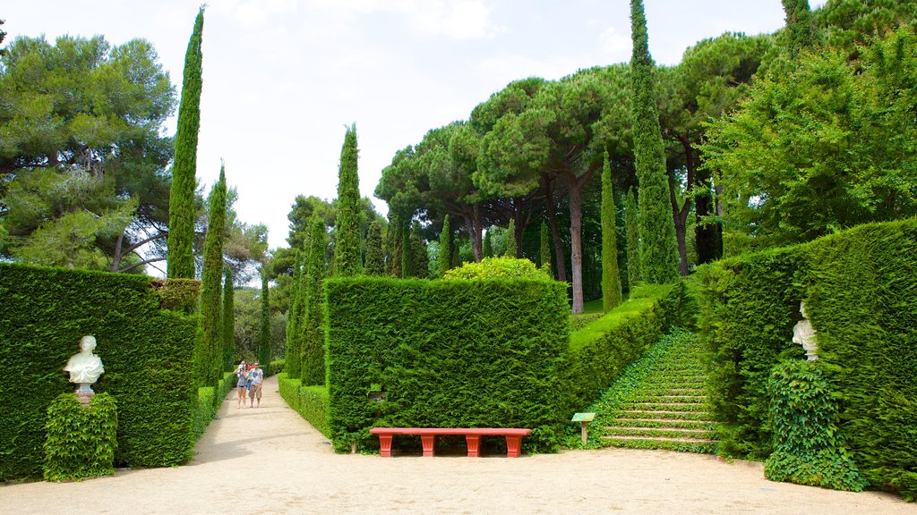 Jardins Santa Clotilde montrant un parc