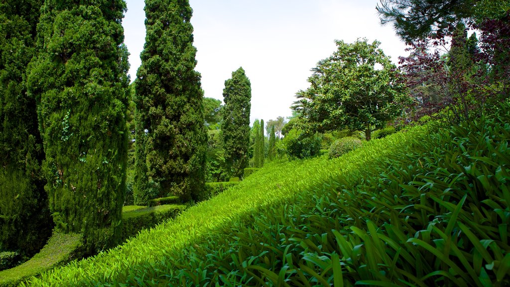 Jardines de Santa Clotilde que incluye un jardín