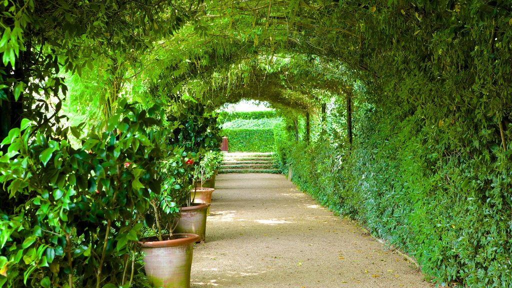 Santa Clotilde Gardens showing a garden