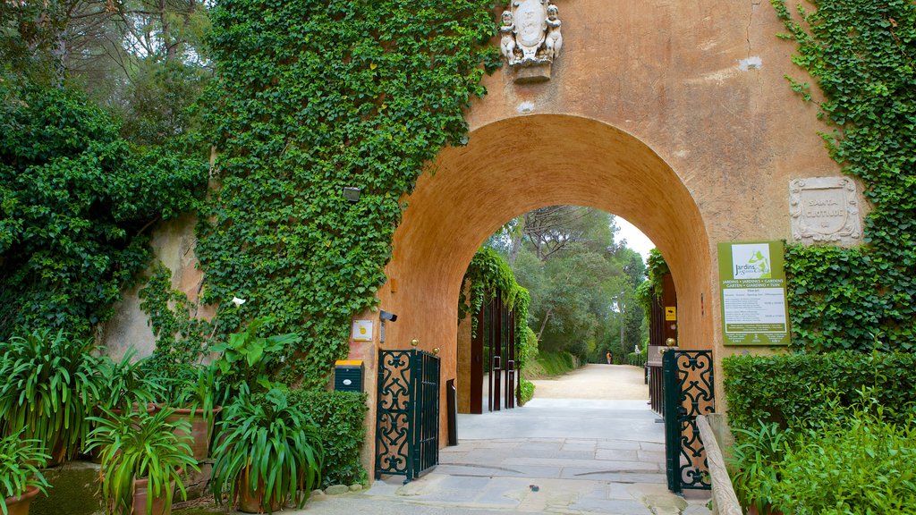 Jardins de Santa Clotilde mostrando um parque