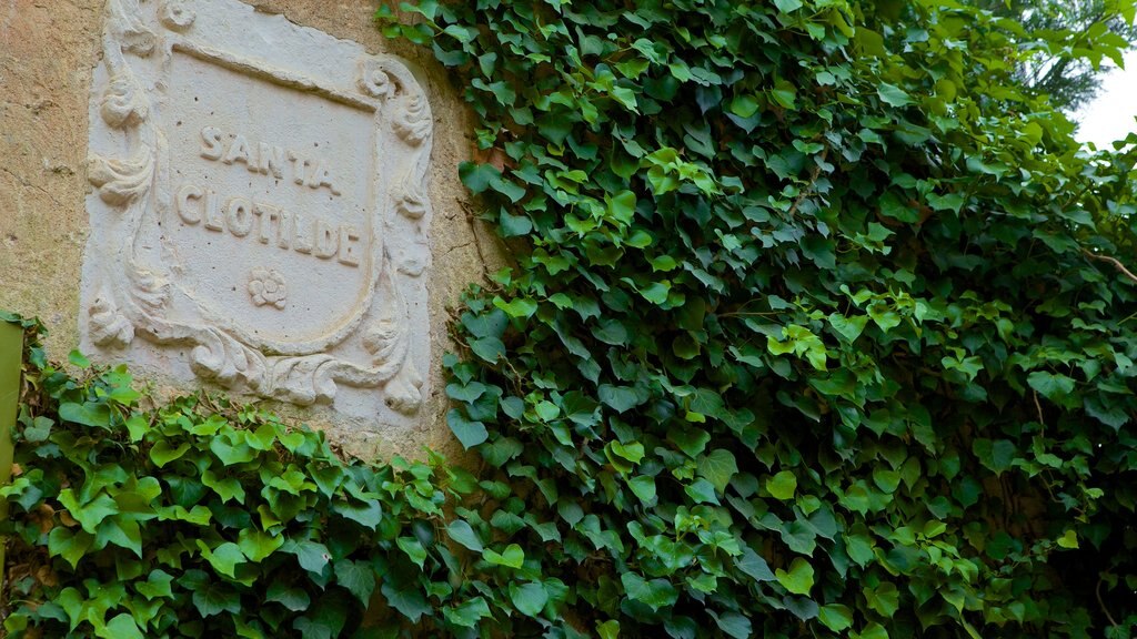 Santa Clotilde Gardens which includes signage and a garden