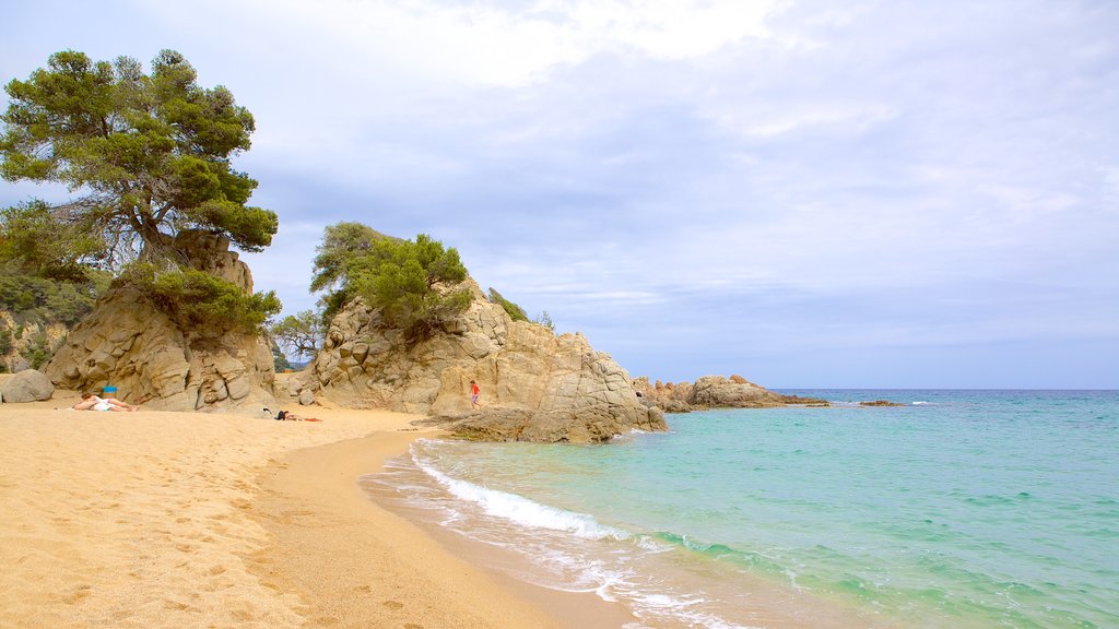 Playa Treumal que incluye una playa de arena