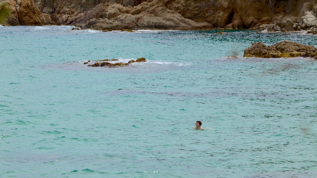 Treumal Beach featuring rocky coastline, swimming and general coastal views