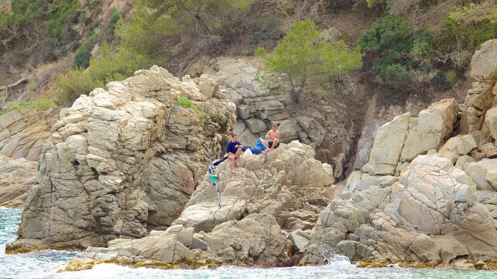 Treumal Beach featuring rocky coastline and general coastal views as well as a small group of people