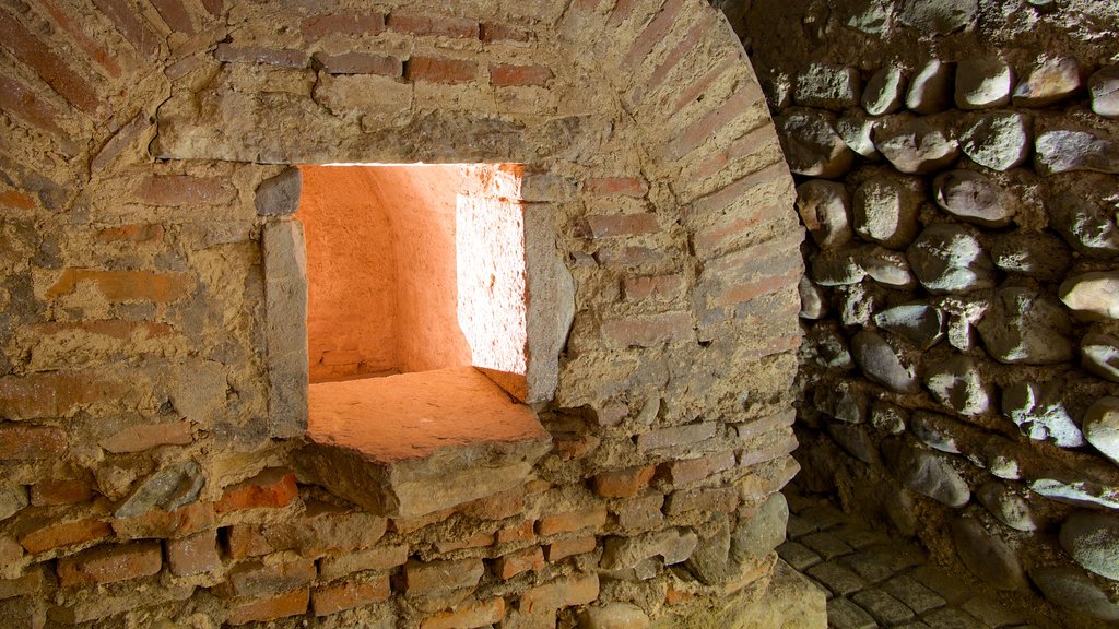 Sofia showing interior views