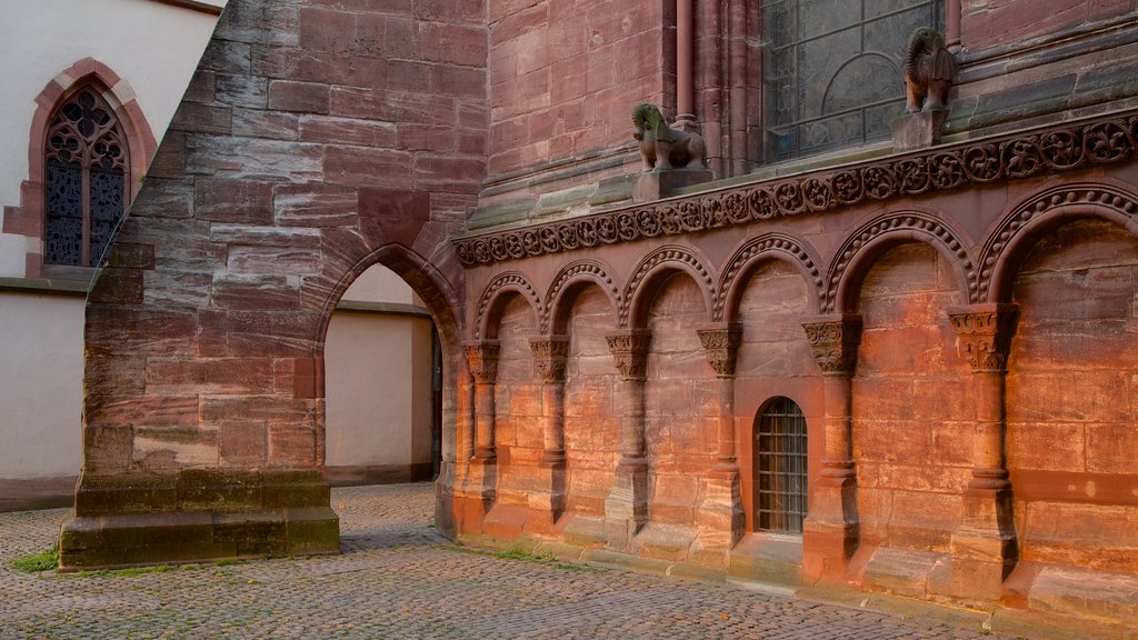 Basel featuring a church or cathedral and heritage architecture