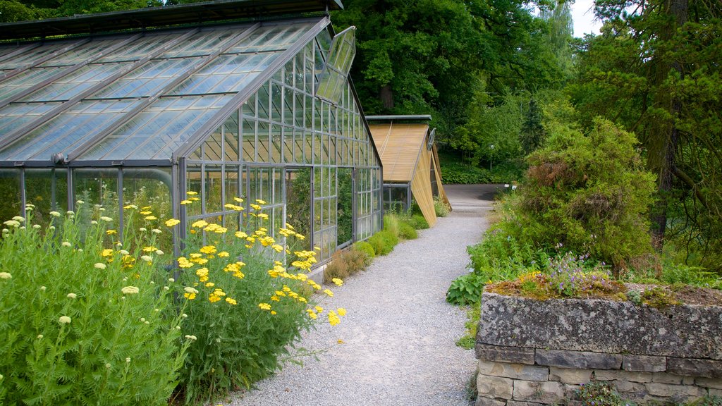 Jardín botánico que incluye jardín