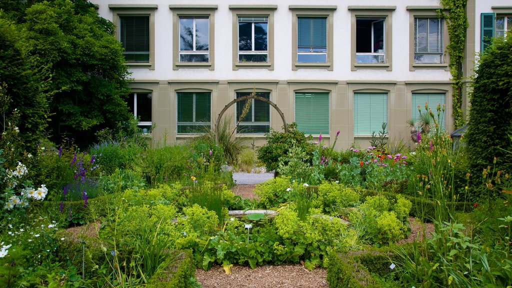 Botanical Garden showing a garden