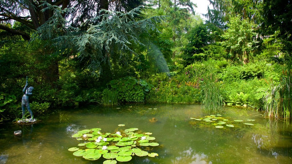 Botanisk hage fasiliteter samt dam og hage