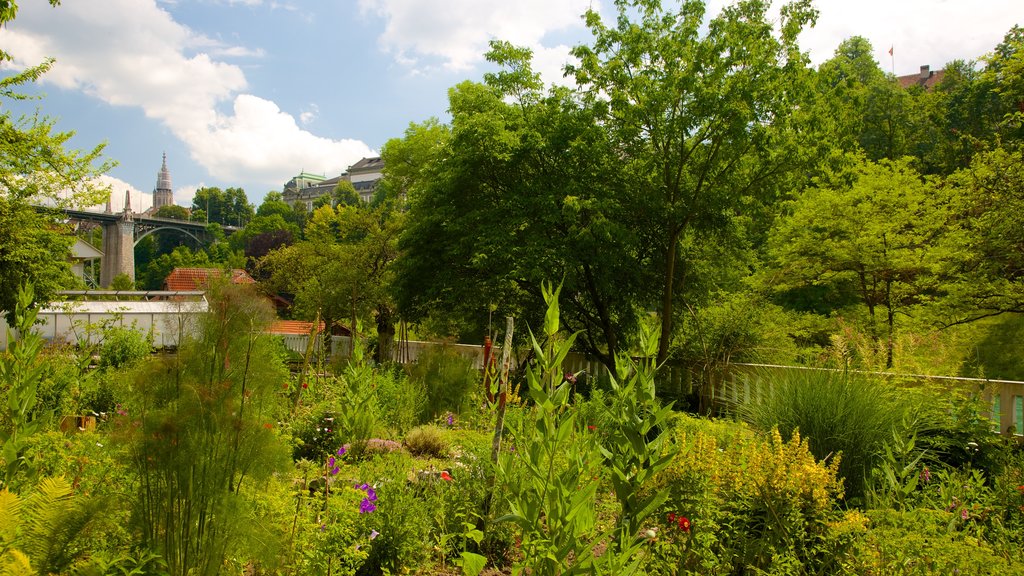 Botanical Garden showing a park