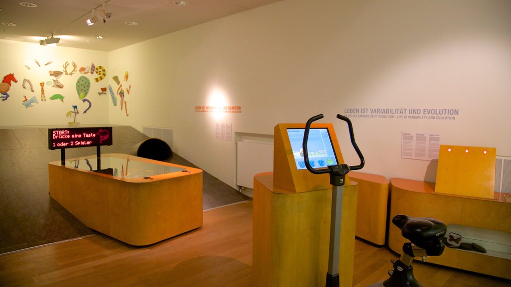 Natuurhistorisch museum van Bern toont interieur