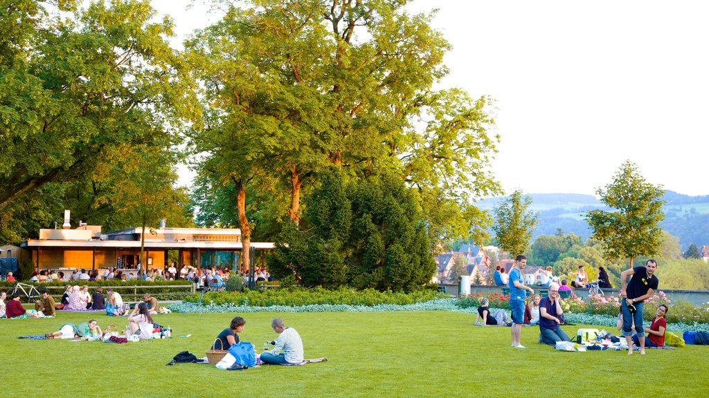 Bern rosehage som inkluderer piknik og park i tillegg til en stor gruppe med mennesker