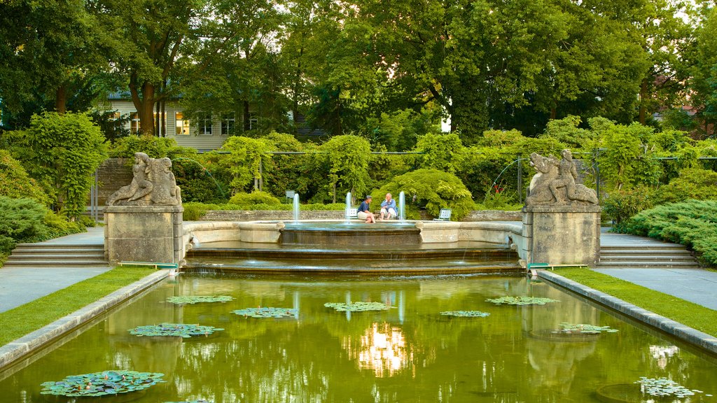 Bern Rose Garden mostrando uma fonte, um lago e um jardim