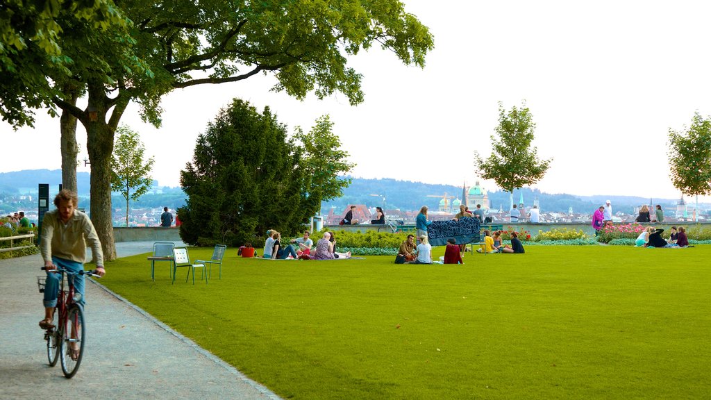 Bern Rose Garden mostrando um parque e ciclismo assim como um grande grupo de pessoas