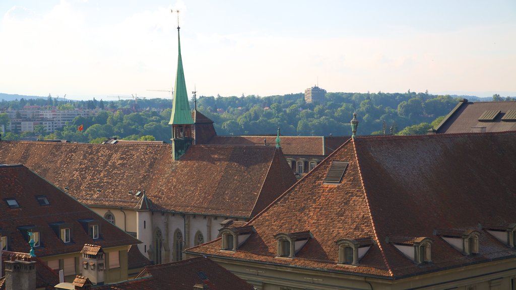 Clock Tower showing a small town or village and heritage architecture