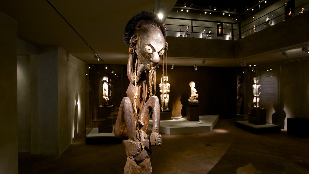 Barbier-Mueller Archeology Museum which includes interior views and indigenous culture