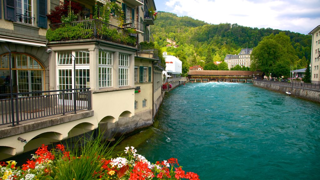 Thun ofreciendo un río o arroyo, una casa y flores