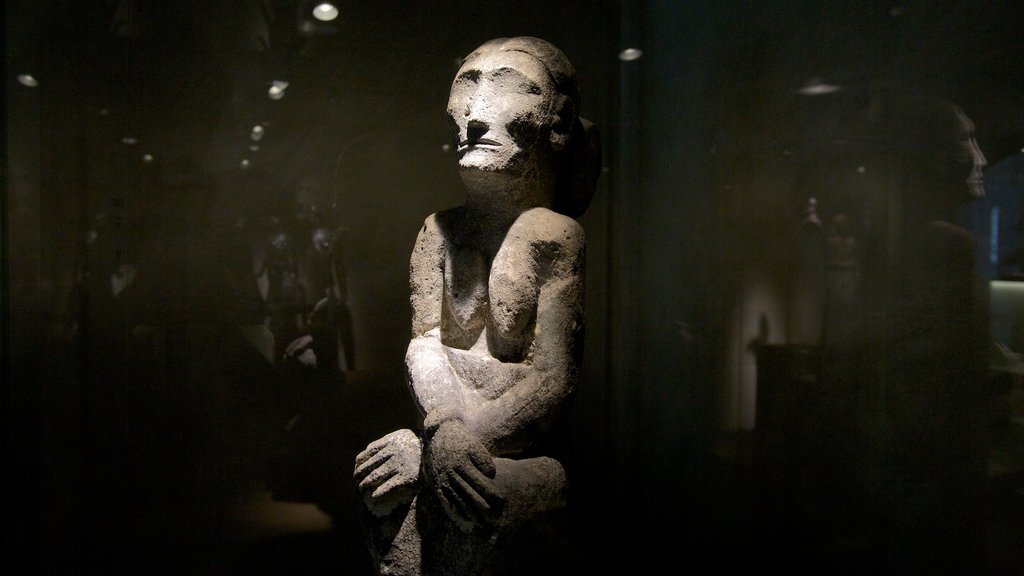 Barbier-Müller arkeologiske museum fasiliteter samt statue eller skulptur og innendørs