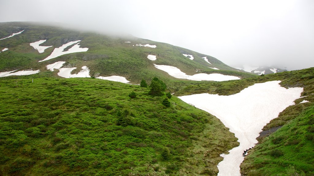 Jungfraujoch que incluye nieve, vistas de paisajes y neblina o niebla