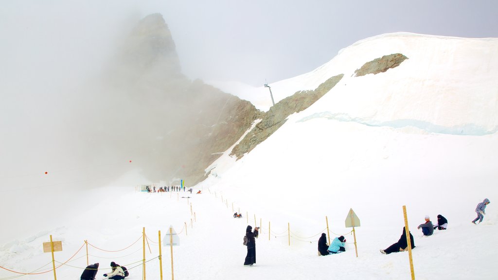 Jungfraujoch mostrando montanhas e neve assim como um grande grupo de pessoas