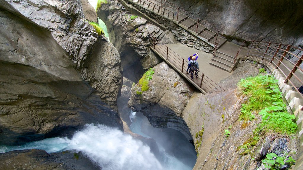 Trümmelbachfälle inclusief een waterval, een kloof of ravijn en vergezichten