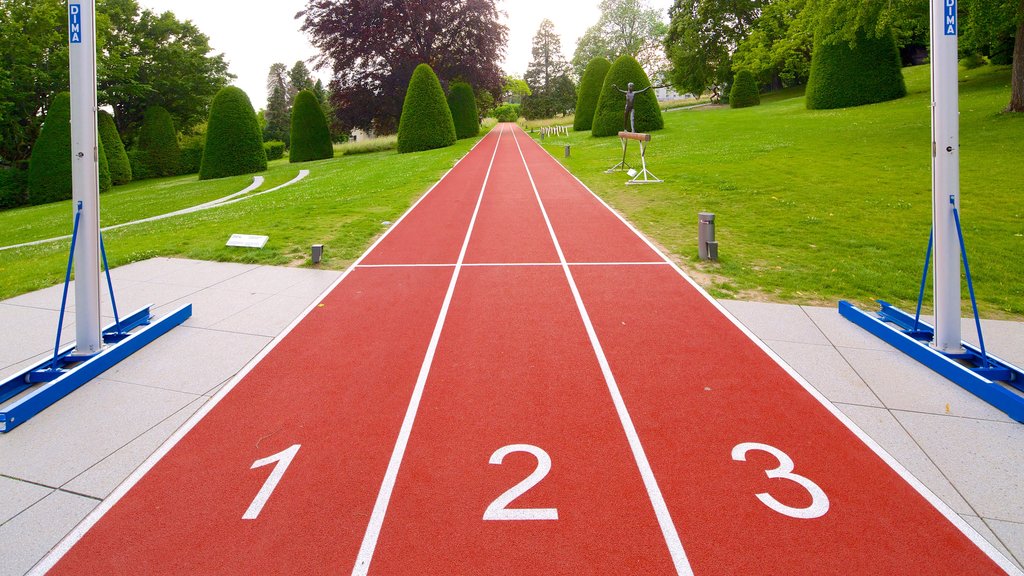 Olympisch museum toont een tuin