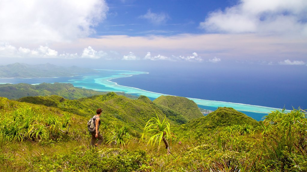 Tahiti showing landscape views, tranquil scenes and hiking or walking