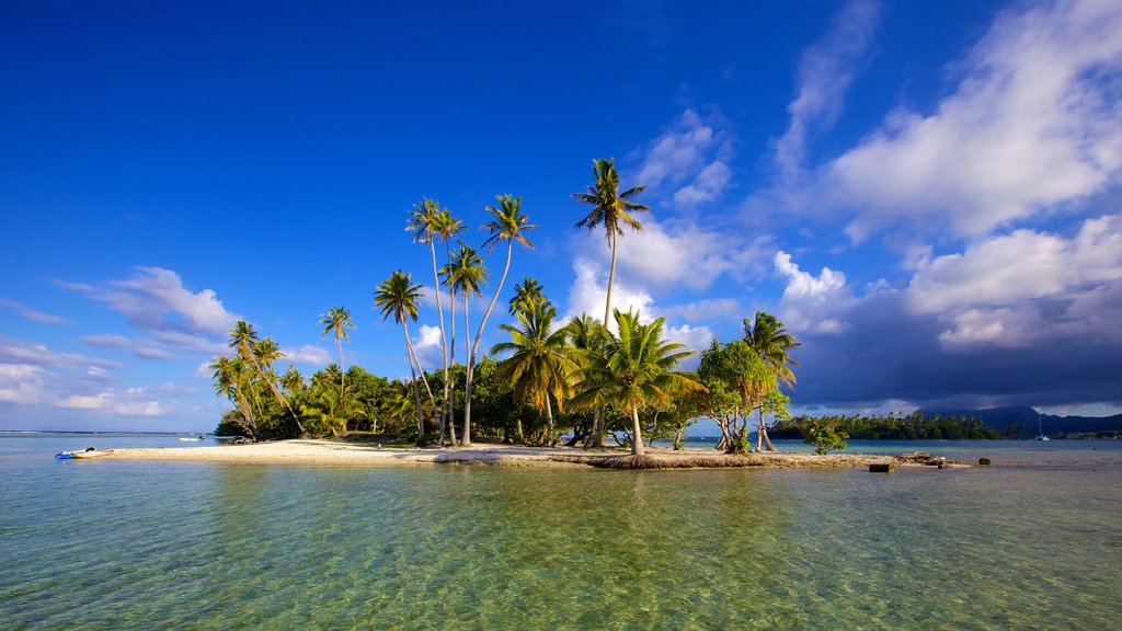 Taiti caracterizando paisagens da ilha