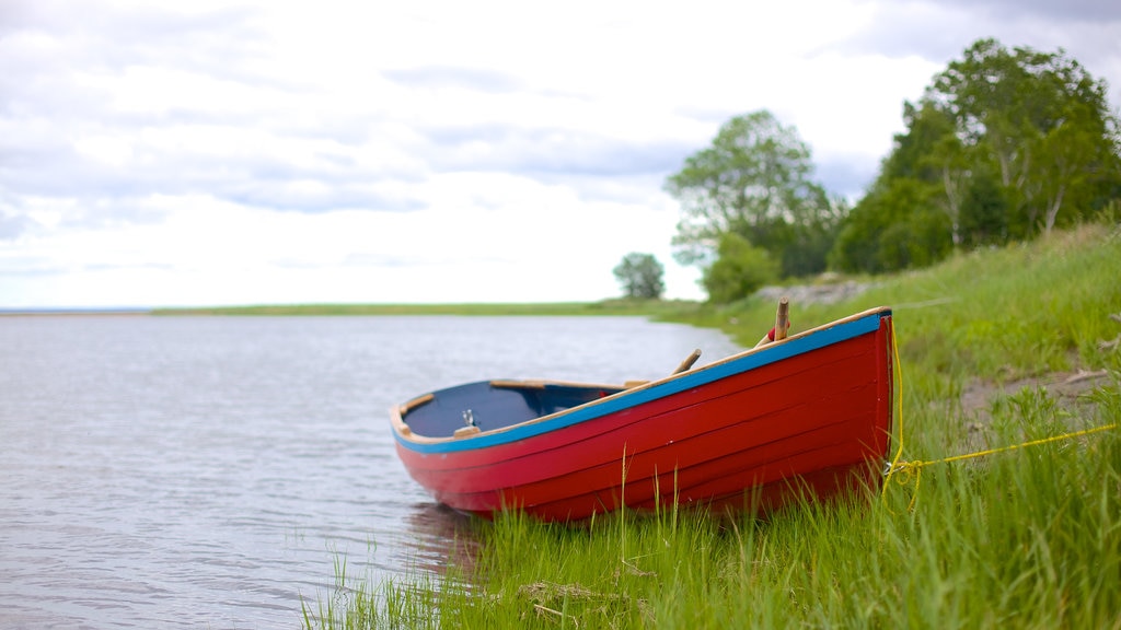 Antigonish que incluye vista general a la costa y botes