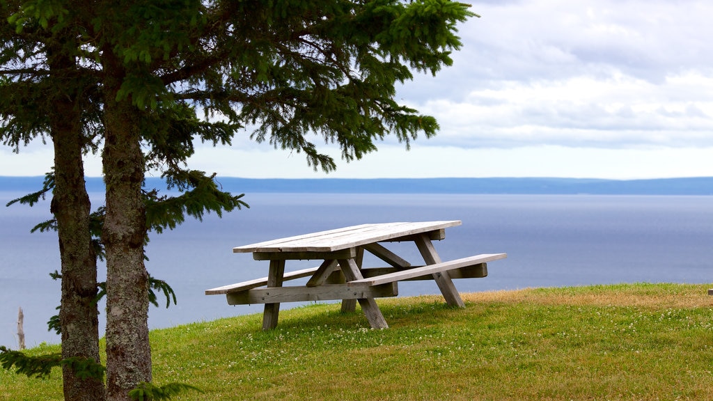 Antigonish showing general coastal views