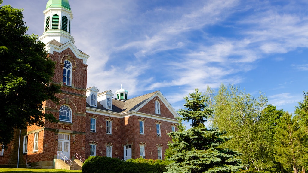 Antigonish que incluye una casa