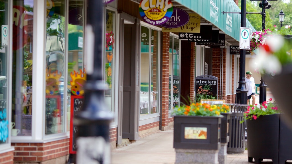 Truro featuring street scenes and shopping