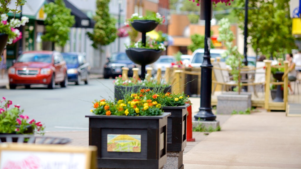 Truro showing street scenes and flowers