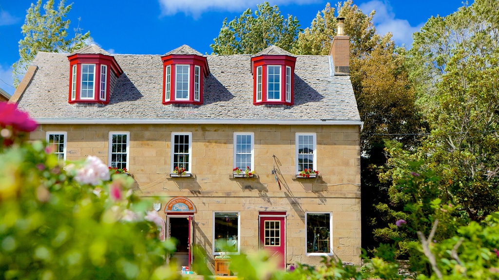 Pictou featuring a house