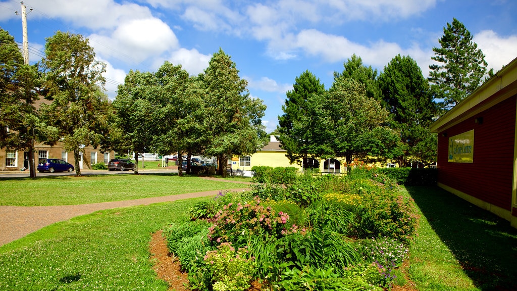 Pictou som visar landskap och en park