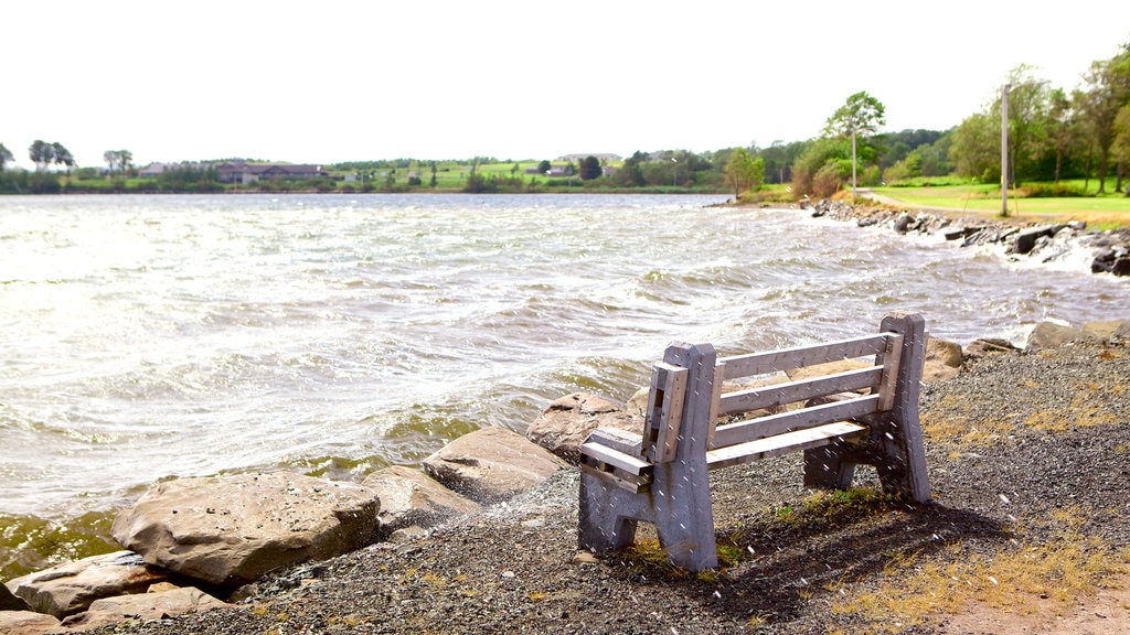 Pictou que incluye una ciudad costera