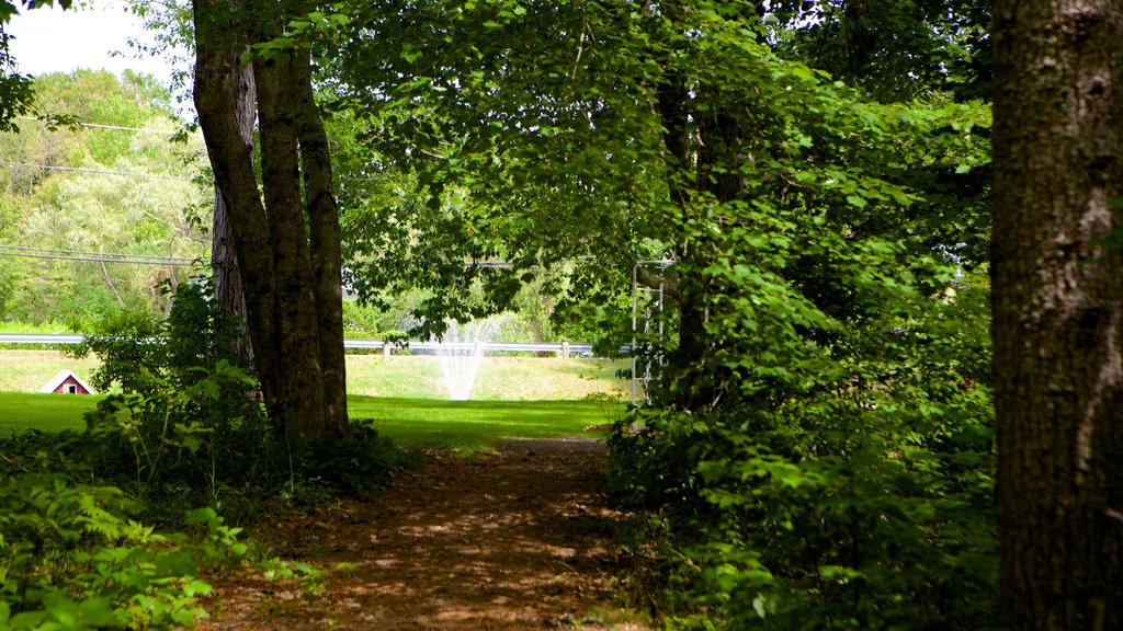 Kingston menunjukkan taman dan hutan