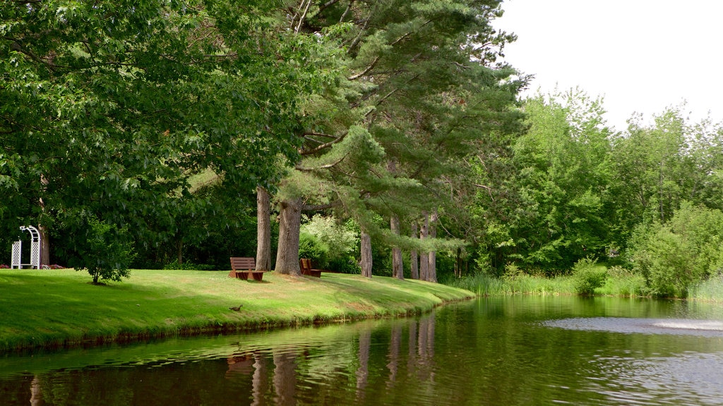 Kingston showing a park and a pond