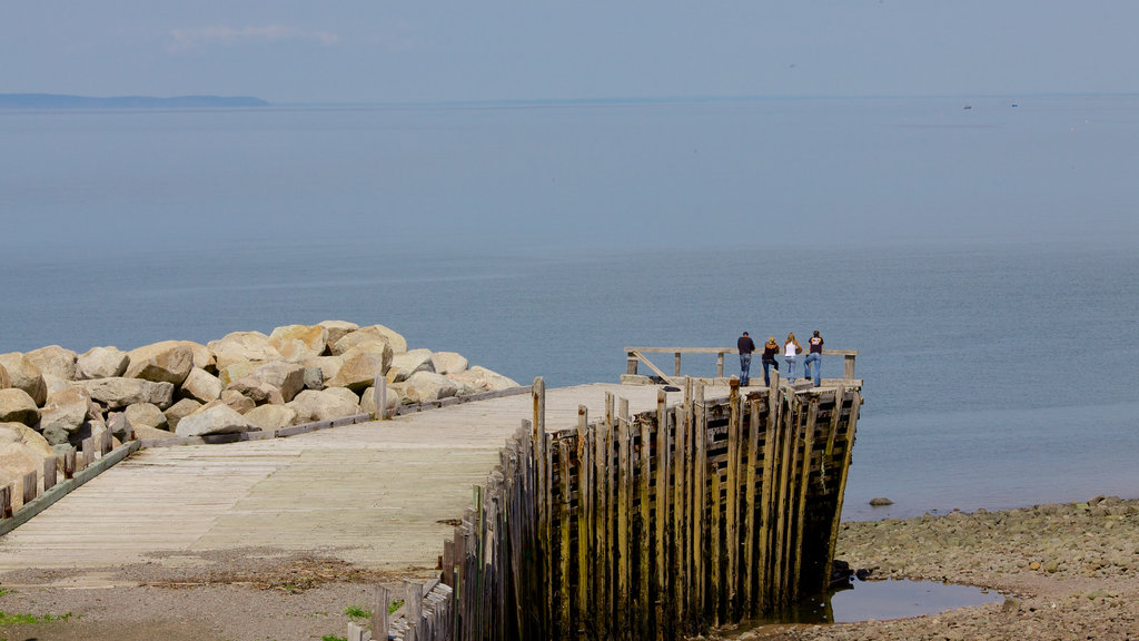 Kingston showing general coastal views and views