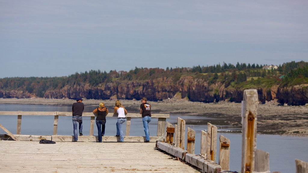 Kingston showing general coastal views and views as well as a small group of people