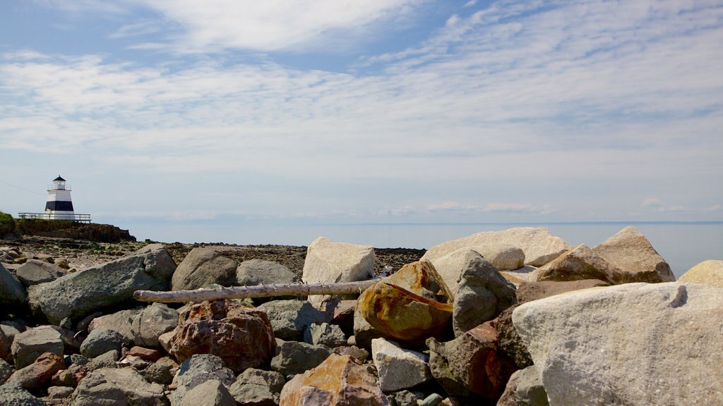 Kingston showing rocky coastline